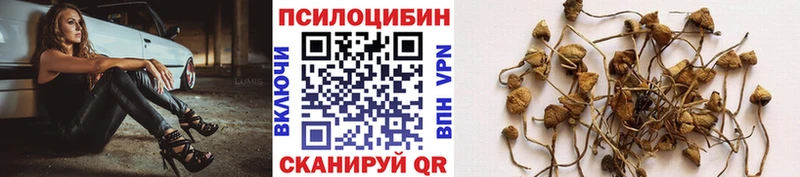 Купить где Липки Псилоцибиновые грибы прущие грибы